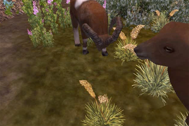 European Expeditions Zoo Tycoon 2 mod