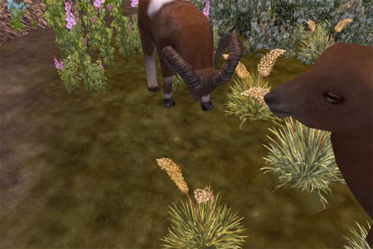 zoo tycoon 1 grass mod