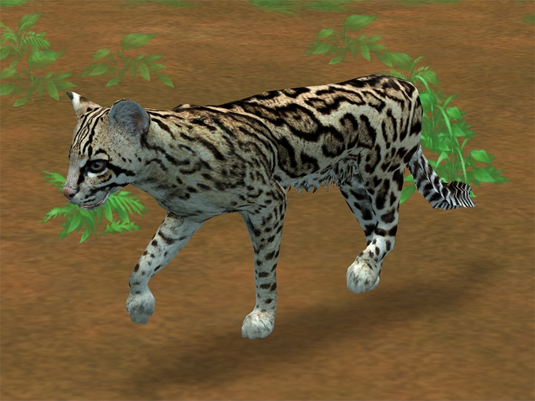 15 Best Mods For Zoo Tycoon 2  Free To Download    FandomSpot - 35