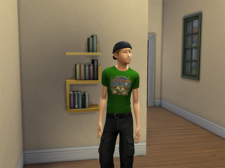 Led Zeppelin Band Shirts / TS4 CC