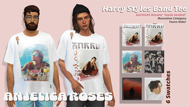 Harry Styles Band Tees / TS4 CC