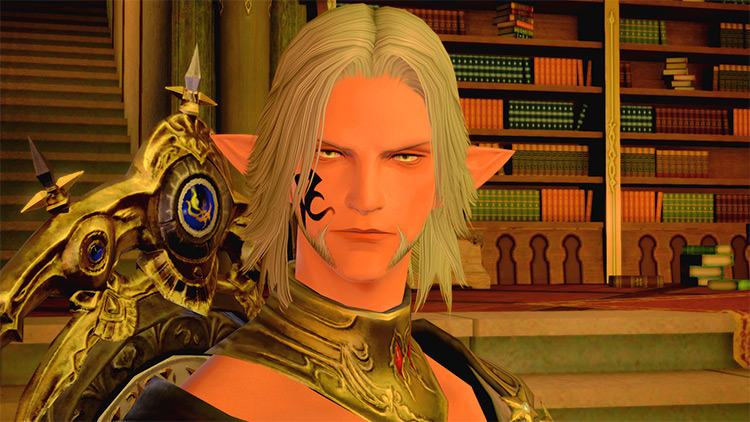 24 Best Final Fantasy XIV Mods For PC  All Free    FandomSpot - 99