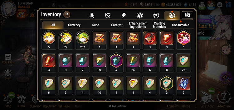 Inventory (All) / Epic Seven