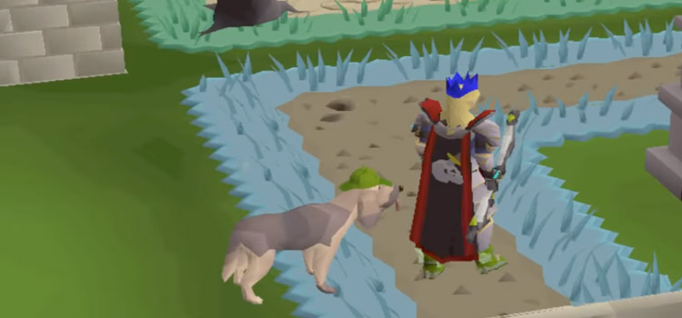 Slayer Cape Design in Old School RuneScape