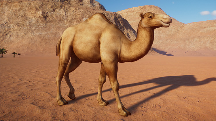 Dromedary Camel Mod for Planet Zoo