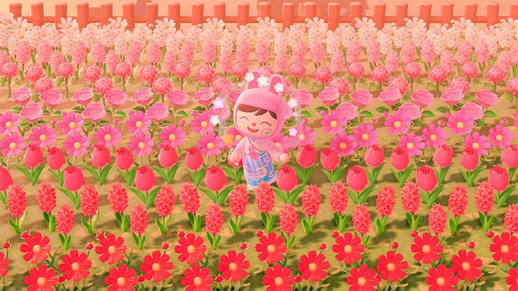 Pink flower fields designed in ACNH