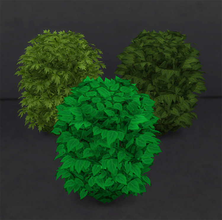 The Sims 4  Best Shrubs   Bushes CC To Download   FandomSpot - 32