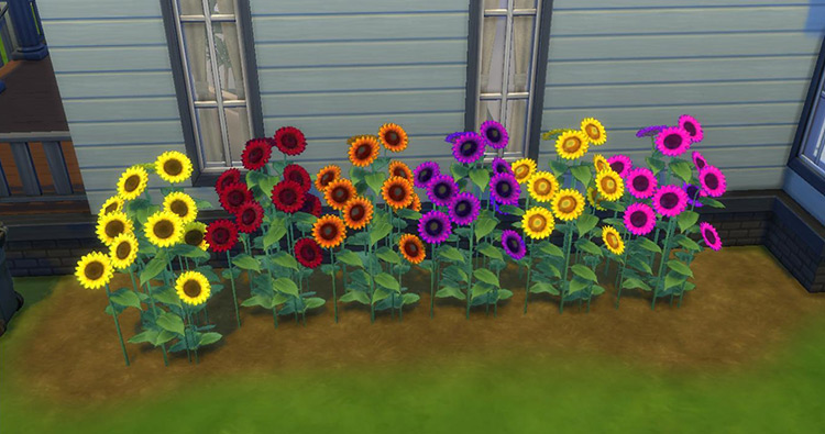 The Sims 4  Best Shrubs   Bushes CC To Download   FandomSpot - 45