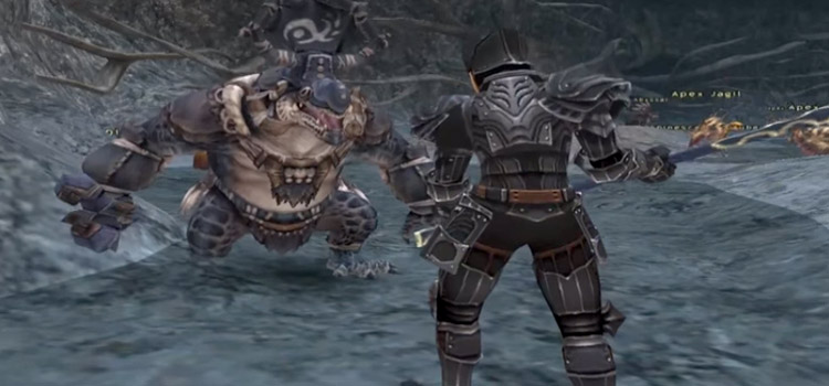 Dark Knight battle screenshot from Final Fantasy XI