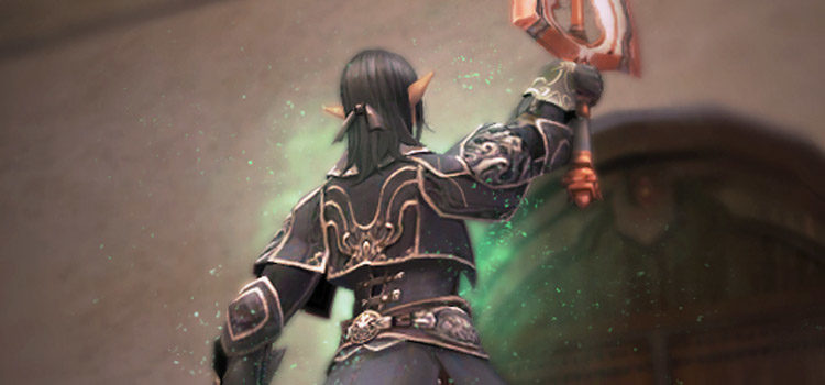 Elvaan character holding a sword in Final Fantasy XI