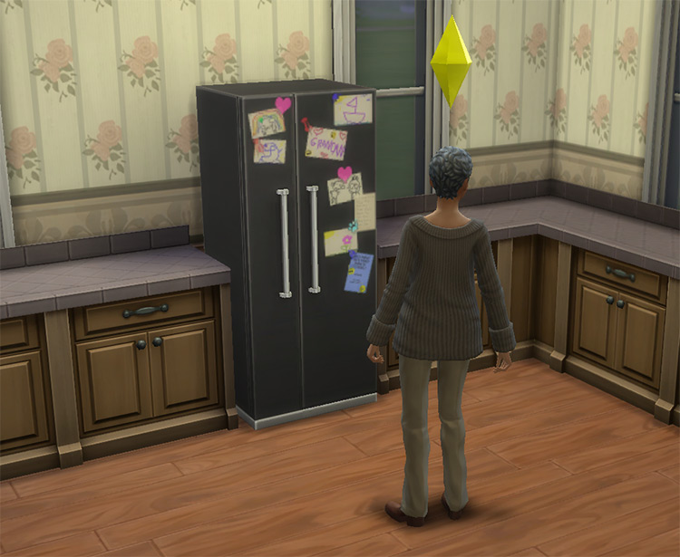 Grandma’s Fridge Sims 4 CC