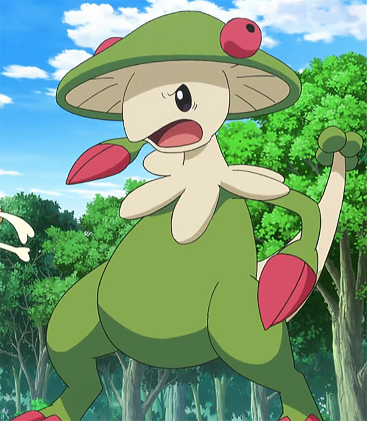 Breloom from Pokemon anime