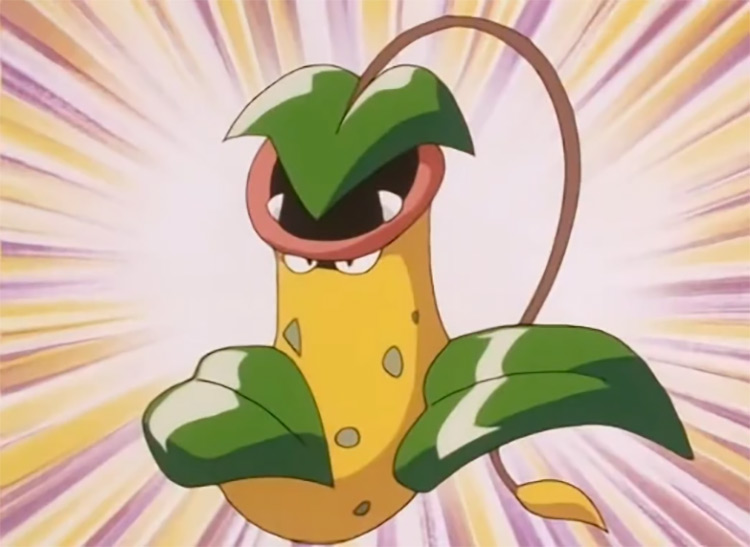Victreebel Pokemon in the anime