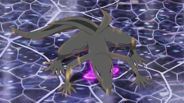 Salazzle in the Pokémon anime