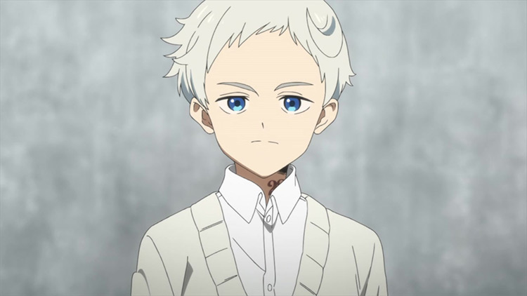 Norman from The Promised Neverland anime