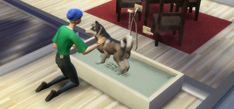 ballora in the sims 4 cats and dogs cc