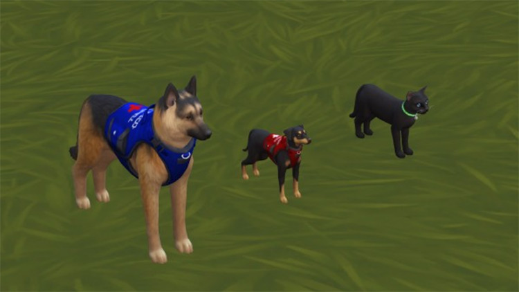 Service Animal Accessories / Sims 4 CC