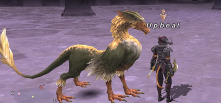 Falcorr with Beastmaster in FFXI