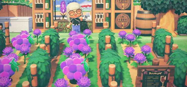 Custom winery idea in Animal Crossing New Horizons