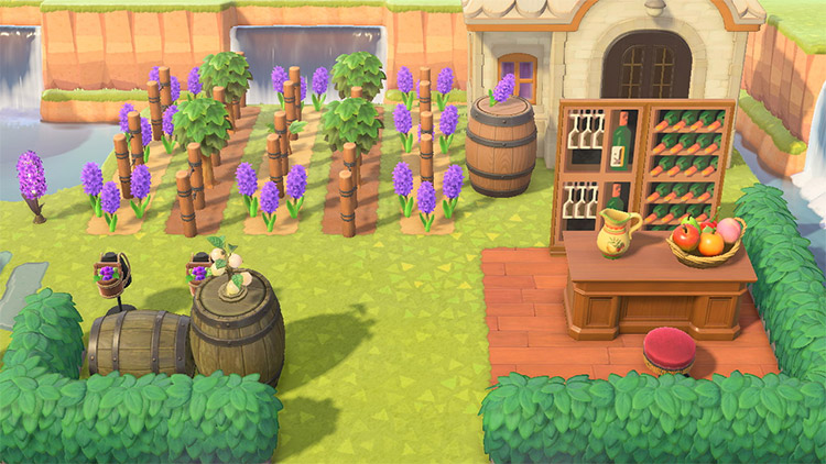 Winery   Vineyard Design Ideas For Animal Crossing  New Horizons   FandomSpot - 31