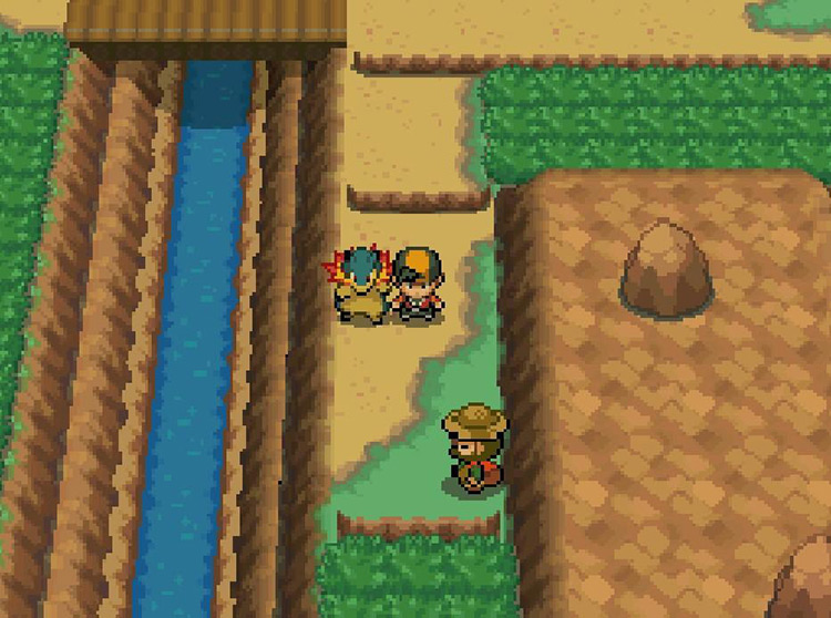 The ledges in Route 45 don’t allow trainers to go back up / Pokémon SoulSilver