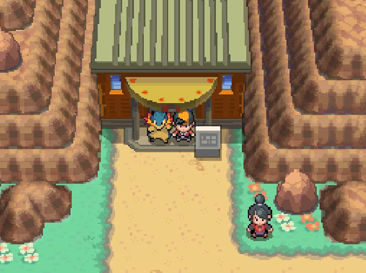 The entrance to Victory Road in Kanto / Pokémon SoulSilver
