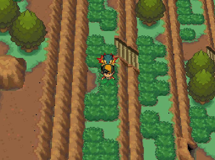 This mountainside area is only accessible if you have Rock Climb / Pokémon SoulSilver