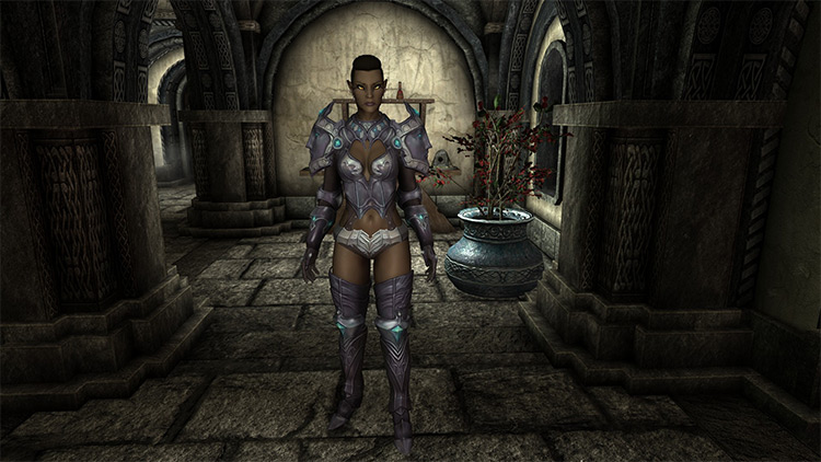 Best Female Armor Mods For Skyrim The Ultimate List Fandomspot