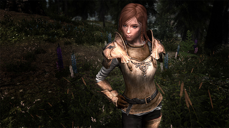 Best Female Armor Mods For Skyrim The Ultimate List Fandomspot