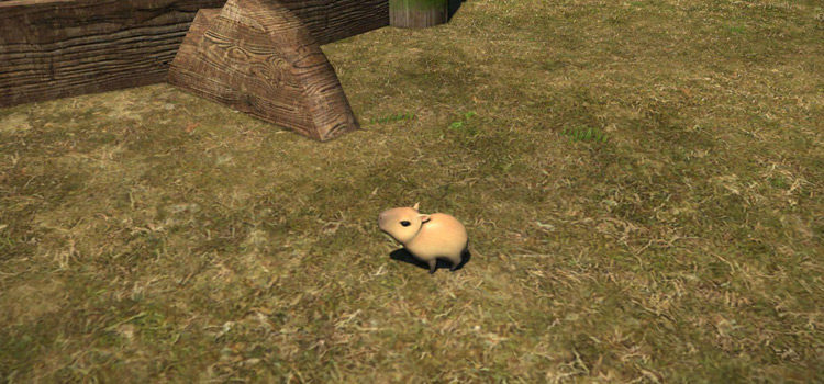FFXIV: How Do You Get The Capybara Pup Minion?