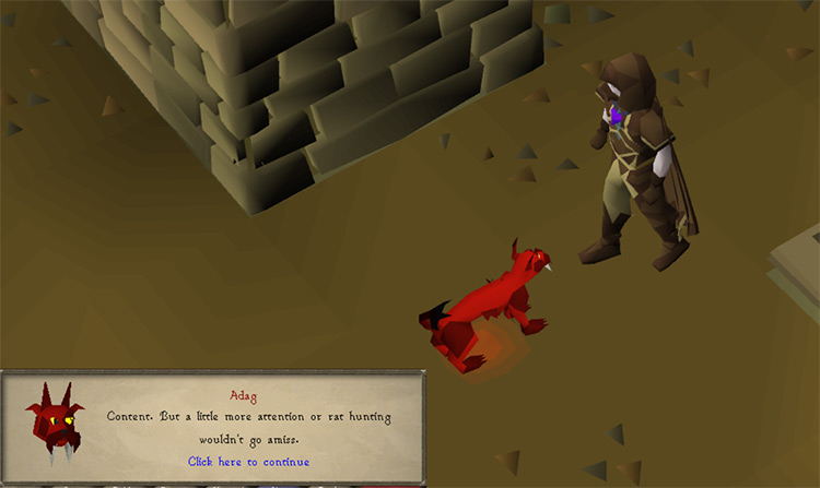 Chatting with a Cat / OSRS