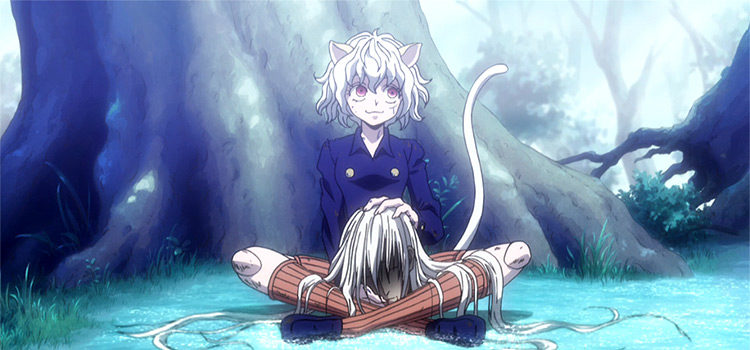 5 Anime Characters Who Can Beat Neferpitou