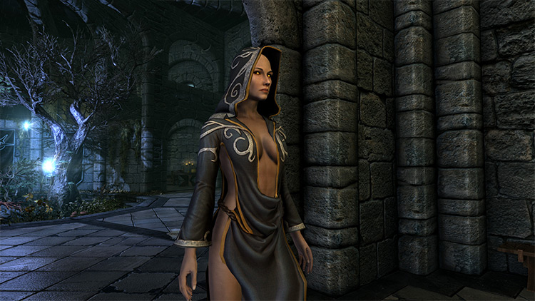 Nocturnal Archmage’s Robes / Skyrim Mod