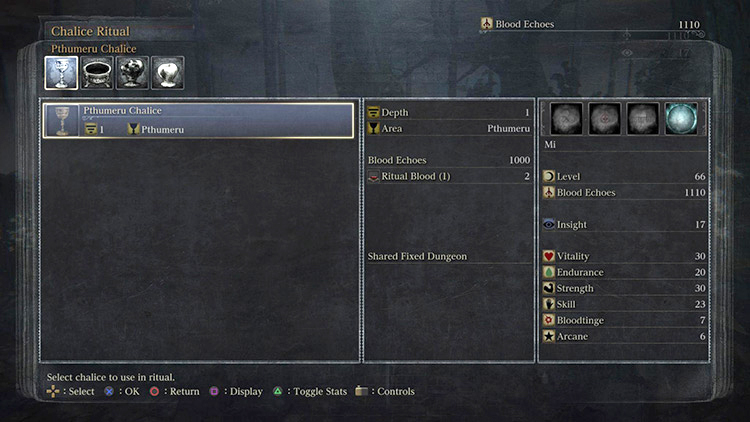 The Ritual menu - you may have other Chalices unlocked, so be sure to pick the Pthumeru Chalice here / Bloodborne