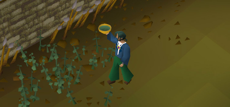Holding a bowl of Nettle Water in OSRS