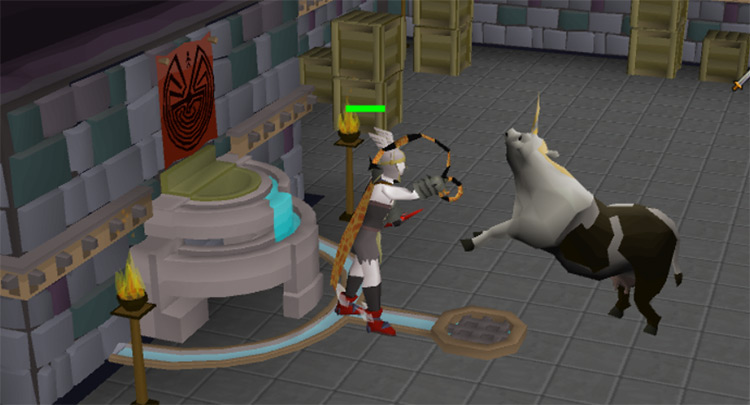 Fighting Unicows in the Basement / OSRS