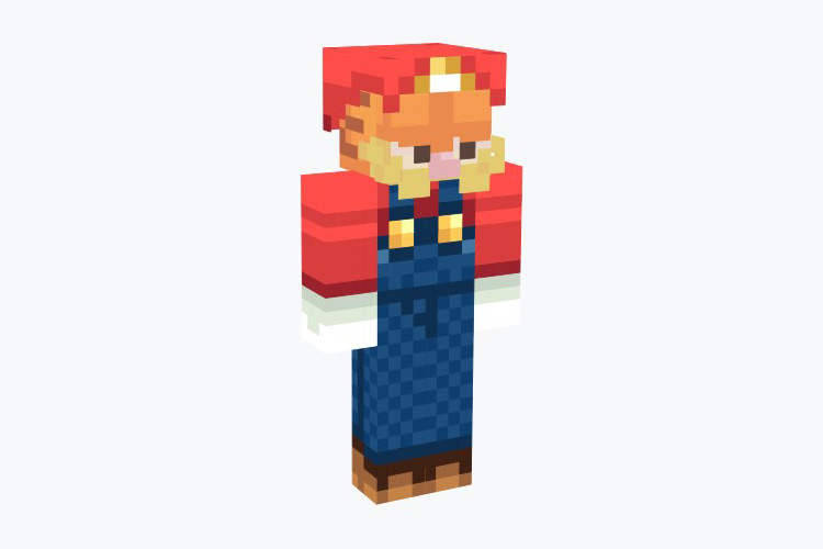 Mario Garfield Minecraft Skin