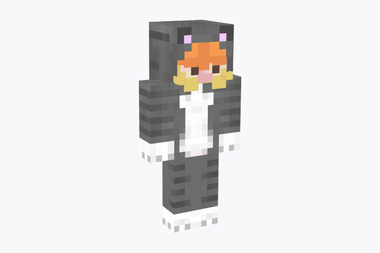 Catception Minecraft Skin