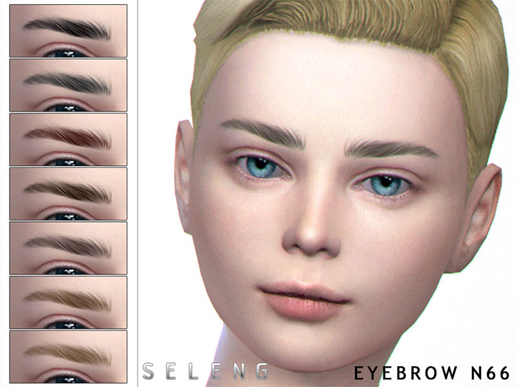 Eyebrows N66 by Seleng TS4 CC