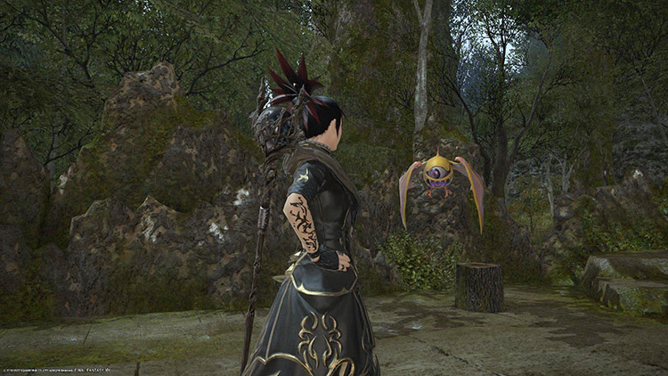 The Beady Eye Minion goes perfectly with your Ahriman Mount / FFXIV