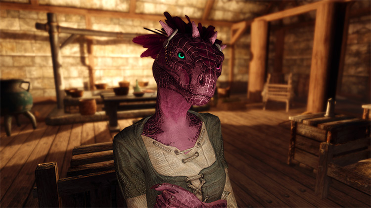 Complete NPC Overhaul – Argonians / Skyrim Mod