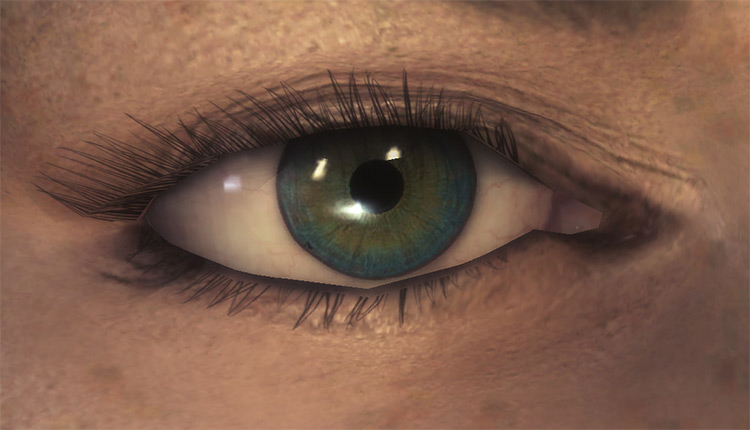 The Eyes of Beauty / Skyrim Mod