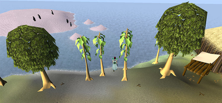 What Are The Best Mahogany Tree Spots in OSRS?