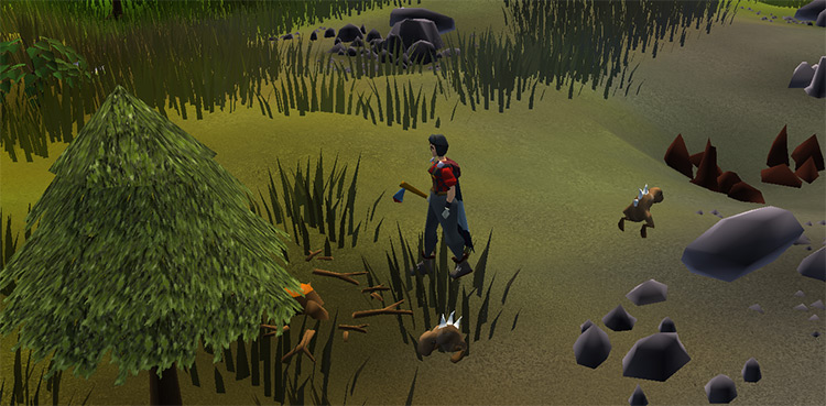 Woodcutting with the full Lumberjack Outfit / OSRS