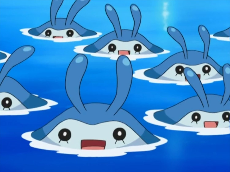 Mantyke pokemon in the anime
