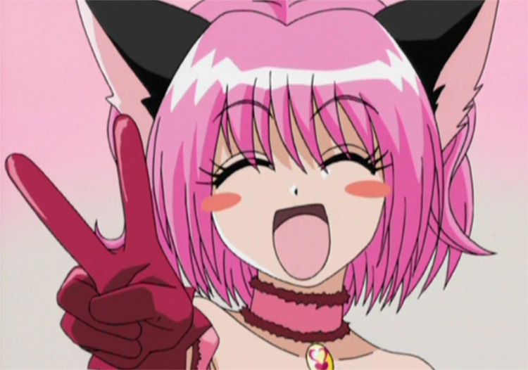 Tokyo Mew Mew Anime