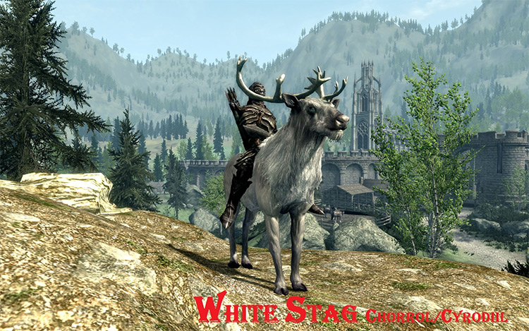 Forest Mounts and Followers mod