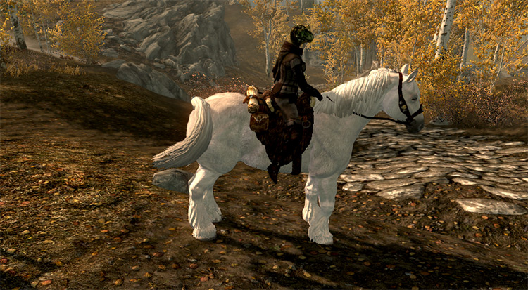 skyrim special edition horse mods