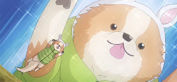 Top 20 Cute Anime Dogs  MyAnimeListnet