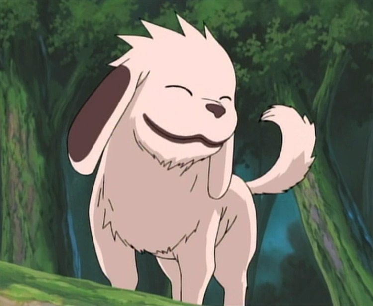 25 Best Anime Dogs  Man s Best Friend in Anime Shows   Movies   FandomSpot - 26